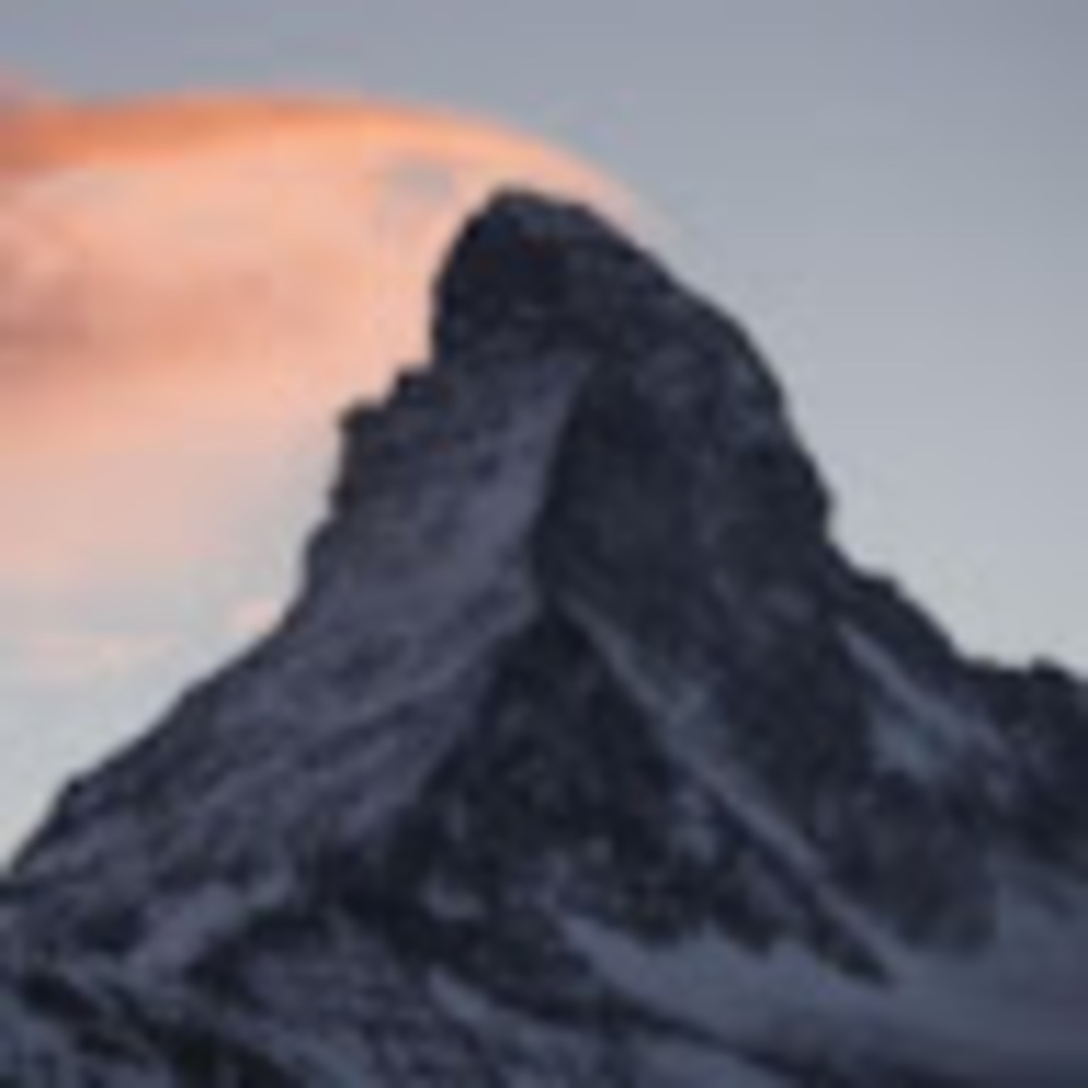 Meet your Posher, Aliza